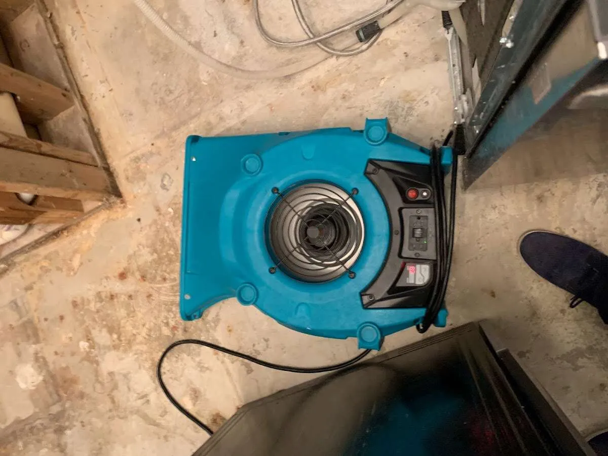 Air mover drying equipment for Mold Remediation & Removal in Haverhill